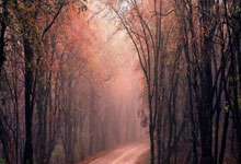 魔力宝贝如何合理分配属性点？