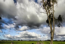 魔力宝贝中的隐藏任务链，奖励丰厚到爆