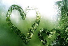 魔力宝贝跨服战，与全服高手一决高下