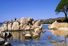 魔力宝贝音乐盘点，那些触动心灵的旋律