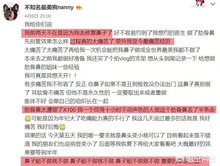 魔力宝贝百科：游戏中的竞技赛事与荣誉奖励