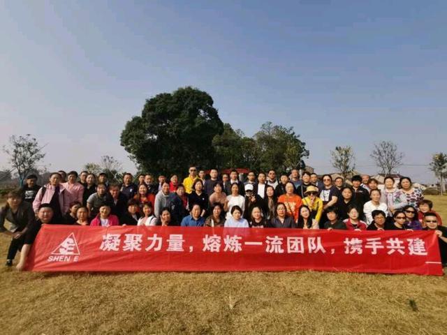 魔力宝贝团队配合：默契协作挑战更高难度