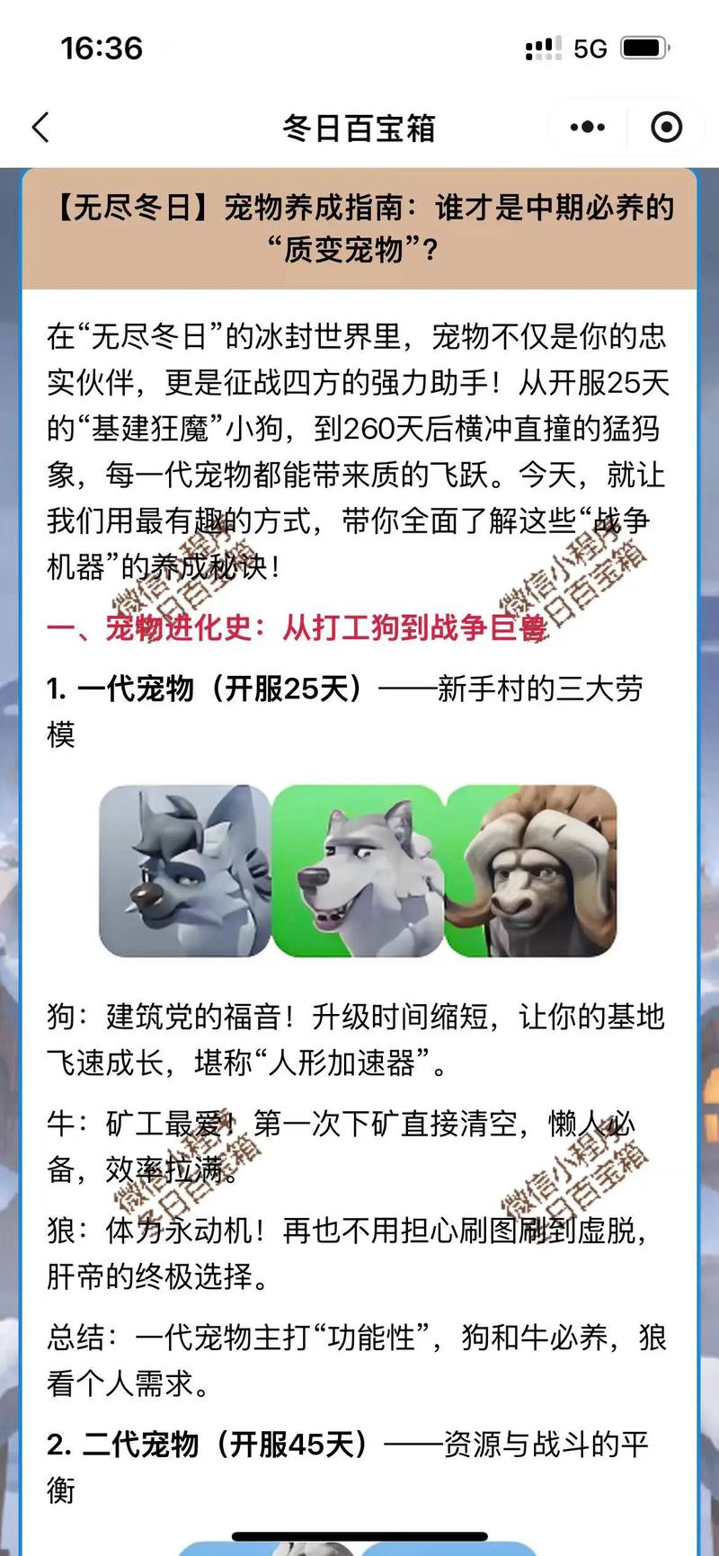 魔力宝贝宠物搭配秘技 轻松养成超强伙伴