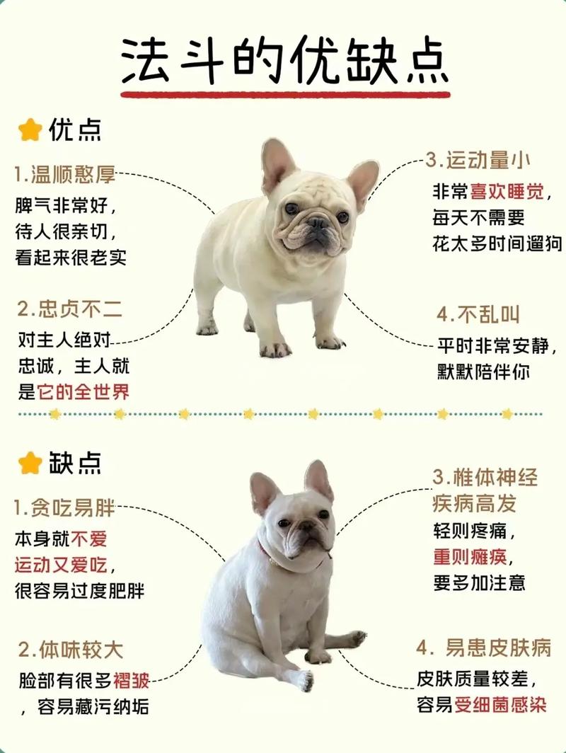 宠物品质对战斗力的影响有多大？​